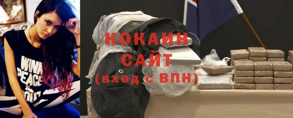 индика Аркадак