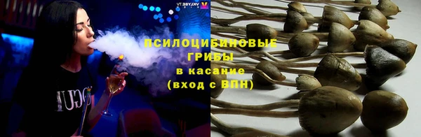 mdpv Арсеньев