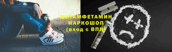 индика Аркадак