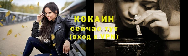 твердый Армянск