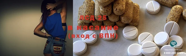 индика Аркадак