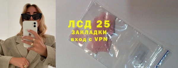 индика Аркадак