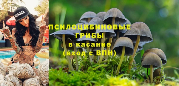 индика Аркадак