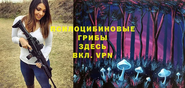 индика Аркадак