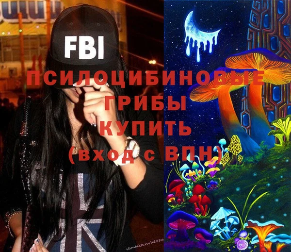соль ск Осинники