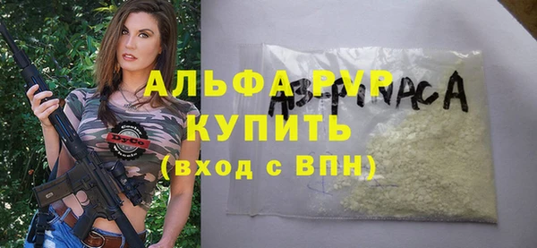 индика Аркадак
