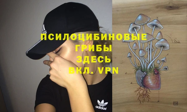 индика Аркадак