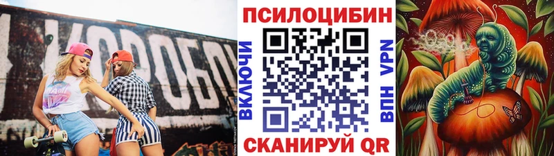 Галлюциногенные грибы Cubensis Полярные Зори